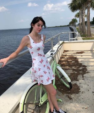 merDeCitrons de Henegouwen, Belgique